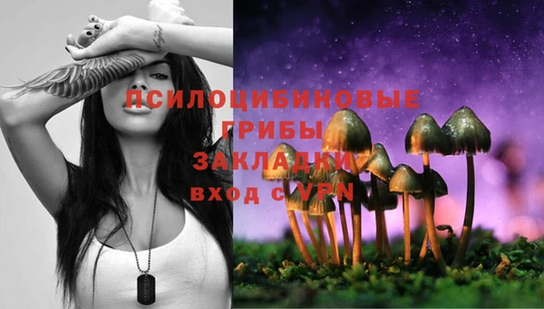 spice Армянск