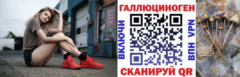 Купить где  Снежногорск  Псилоцибиновые грибы ЛСД 
